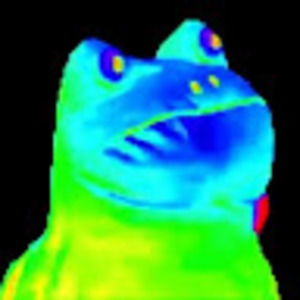 Meet your Posher, Logan